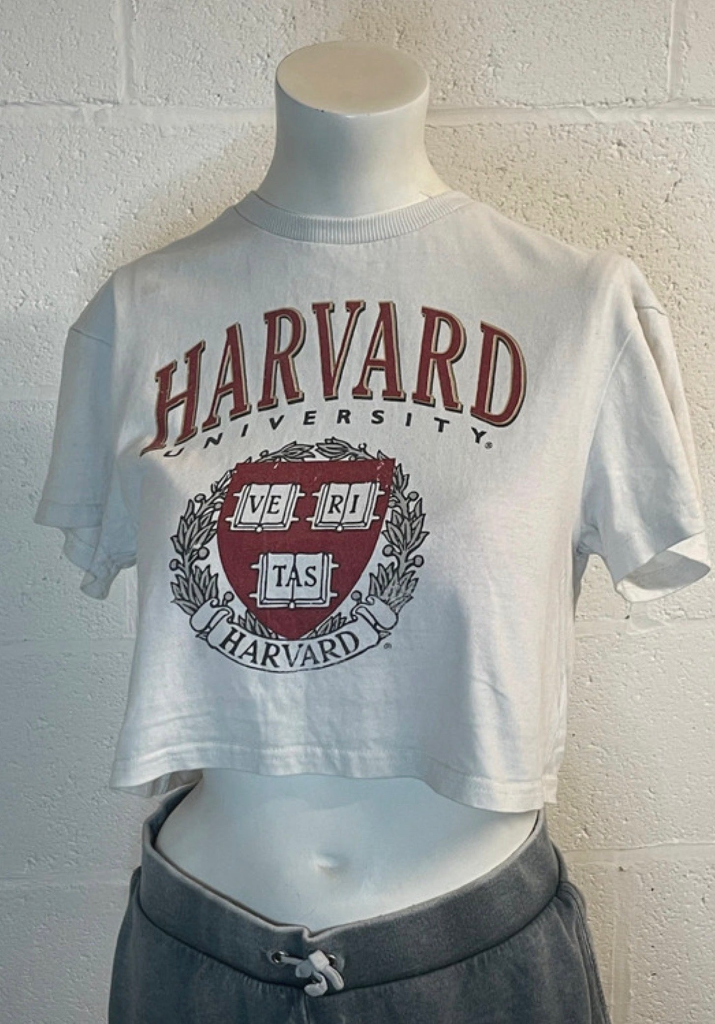 Harvard University Cropped Graphic T-Shirt – White – XS
